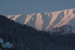 Gulmarg - Himalaya - Cachemire - Inde - Gulmarg combes de Drang