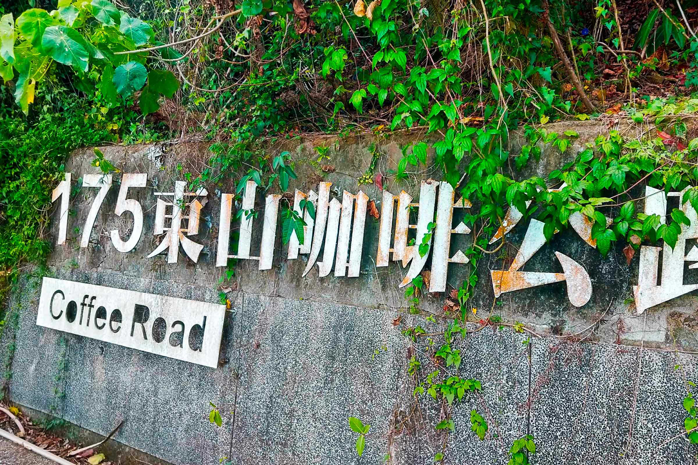 Circuit Chiayi Route du Café - Tours à vélo à Taiwan