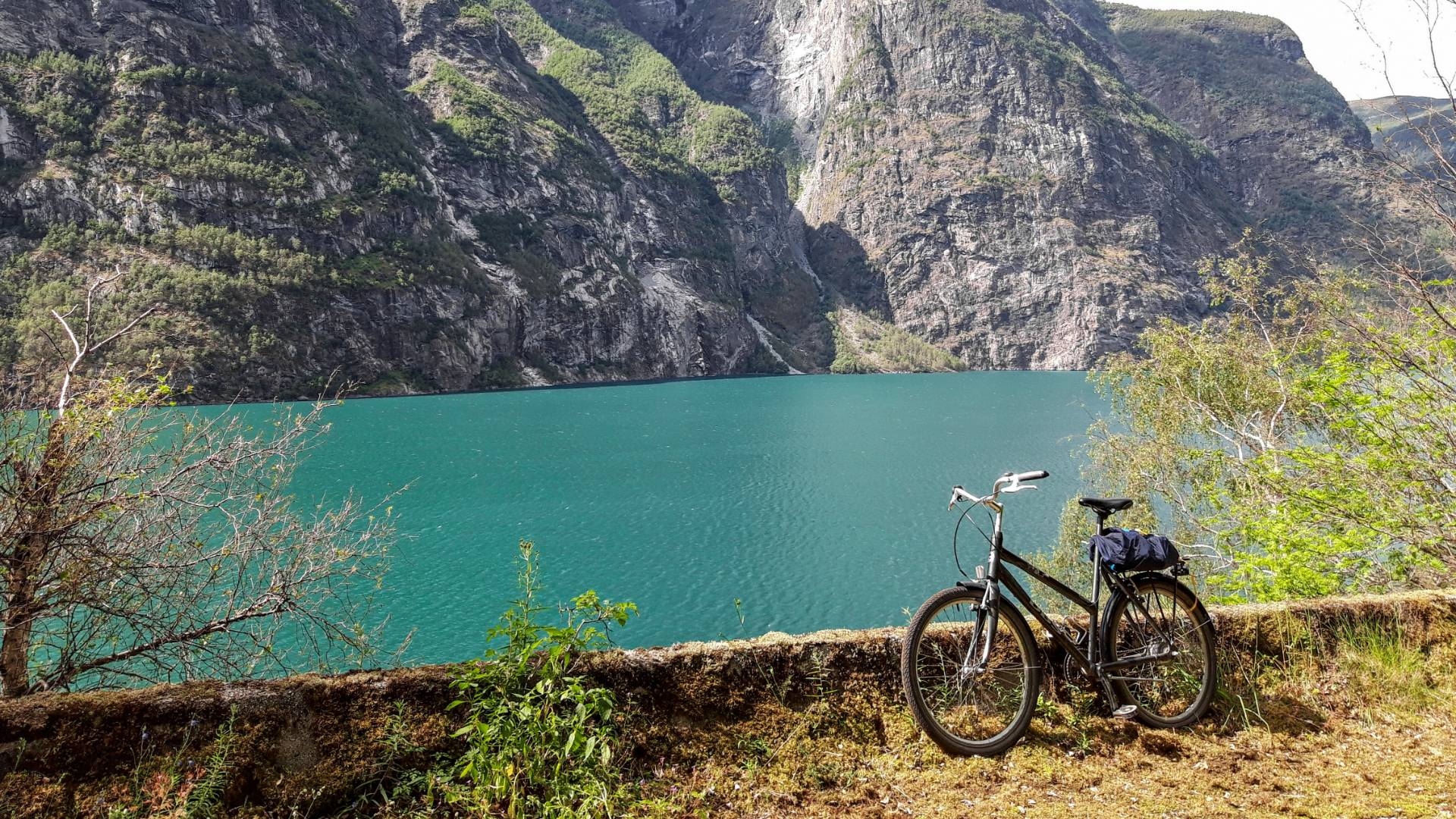 where to go on a biking tour